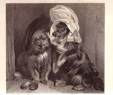 Comical Dogs from our Antique Prints Catalogue - phoenixant.com