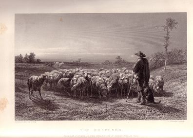 Steel engraving  from the  Art Journal 1877. The Shepherd from our Antique Prints Catalogue - phoenixant.com