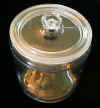 Scientific specimen jar from our Antiques catalogue - Phoenixant.com